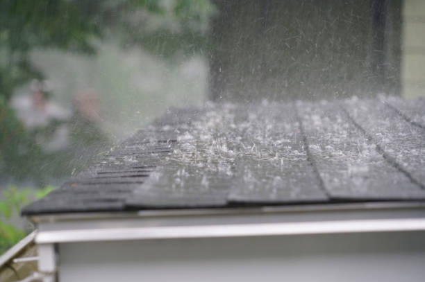Best Roof Coating and Sealing  in , OK